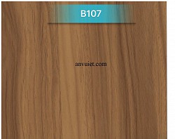 B 107